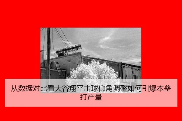 cong-shu-ju-dui-bi-kan-da-gu-xiang-ping-ji-qiu-yang-jiao-tiao-zheng-ru-he-yin-bao-ben-lei-da-chan-liang-2-354.jpg