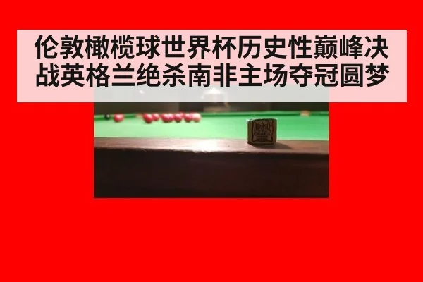 伦敦橄榄球世界杯历史性巅峰决战英格兰绝杀南非主场夺冠圆梦